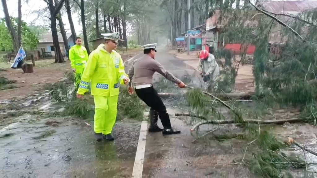 Pembersihan pohon tumbang