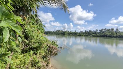 Pinggiran sungai teunom
